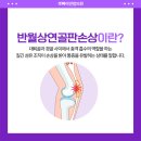 경대연합정형외과의원 이미지
