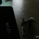 굿뽀유 | [양양] 07.25 일주일 (좀 넘게) 살다 온 나의 마지막 일상