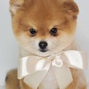 산호동457 이미지