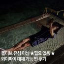 가뮤 | 몰디브 신혼여행 준비물 유심 이심 로밍 비교 비추천 이유 (와이파이 대체가능)