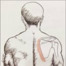 조이컴퍼니 이미지