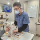 비타동물의료센터 이미지