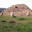 파란행정사 이미지