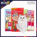 챠오챠오 이미지