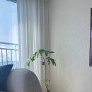 커피볶는정