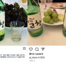 (주)서오지리꽃빛향 | 경신스 - 2021.03.18