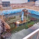 세도초등학교 이미지