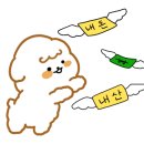 회고집해물포차