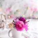 감성공인중개사사무소 이미지