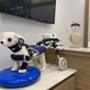 사과나무한방병원 이미지