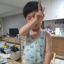 이노센트INNOSCENT 이미지