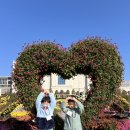 🩷임실치즈테마파크🩷 이미지