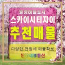 스카이자이공인중개사사무소 이미지