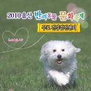 2010년 울산 반려동물 문화축제 개최한다고 하네요^^ 이미지