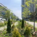 구청사거리 이미지