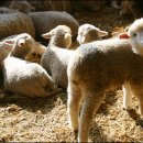 도계3리 이미지