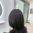 봄;살롱 이미지