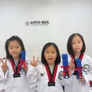 키즈태권도장 이미지