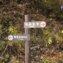 한돌농장 Daum카페