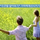 *진코발 알아보기* 기억력개선시키기 이미지