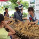 계란한꾸러미 이미지