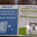 수수하개 이미지