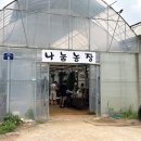 새 하나농장 | 서울근교 파주 [나눔농장] 두 돌 세살 아이랑 비오는 날 가볼만한 곳 솔직후기