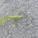 꽃두레행복마을 이미지