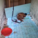 만수3동-15 이미지