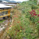 준 농장 이미지