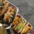 CHUBBY DOG 이미지