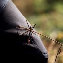 24시 더케어 동물의료센터 이미지