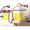 엑소바이옴경기용인지점