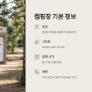 내린천솔밭힐링캠핑장 이미지