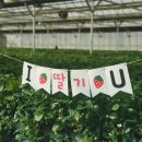 상이농장 이미지