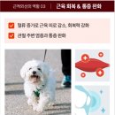 따땃 | [강아지 근적외선 기기] 시리어스펫 슬개골 따땃망토 내돈내산 후기 (+실사용 단점)