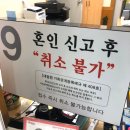 커플들이 혼인신고 취소해달라고 난리치는게 구라가 아닌 이유 이미지