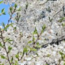 거구회관 | 서울대학교 교수회관 웨딩 및 뷔페 하객후기(호암교수회관 X, 교수회관 O)