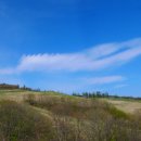 도실목장 이미지