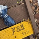 남조로수망교차로 1 | 제주 2박 3일 기록(광치기해변/제주레일바이크/물영아리습지/수망다원/쇠소깍/정방폭포/제주한화리조트)