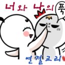 커스텀가라지