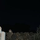 스테이 해옥 이미지