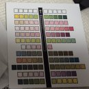 삐뽀 | 간편한 강아지방광염 요로결석진단 소변검사스틱 / 펫펄스랩 삐뽀(pippo) 강아지 소변검사키트 사용 후기