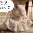 달닷