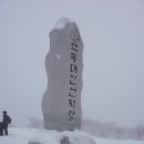 눈과 바람의전설 선자령에서 맞이하는 겨울<b>왕국</b>