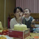 성한목장 Daum카페