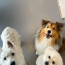 은계유치원 이미지