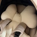 외출준비 | [마롤로뜨] 유모차 시트 추천/사이러스2 플러스 장착 후기 (봄 외출 준비 완료!)