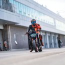 할리월드 333 이미지