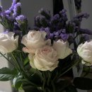 꽃이 좋아 이미지